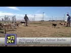 Play Yard Project at the Williamson County Regional Animal Shelter