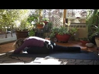 Yoga for Discipline - Namaste Yoga 206  Benefits of Yoga Discipline