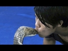 Man Kisses King Cobra
