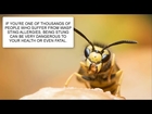 HOW TO GET RID OF WASPS ~ WASP CONTROL UK ~ CATCH-IT LTD PEST CONTROL LONDON