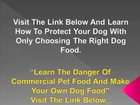 Dog Food For Dogs - Learn The Secret
