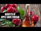 10 Incredible Uses & Benefits Of Apple Cider Vinegar For Weight Loss, Shiny Hair And Healthy Skin