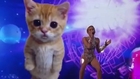 Miley Cyrus' Space Kitten steals the show at American Music Awards