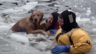 Raw: Firefighters Rescue Family Dog in Icy River