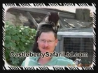 Pet Lemurs For Sale Houston TX | (512) 639-4087