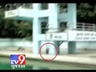 Tv9 Gujarat - Onlookers surprised as monkey swims in pool